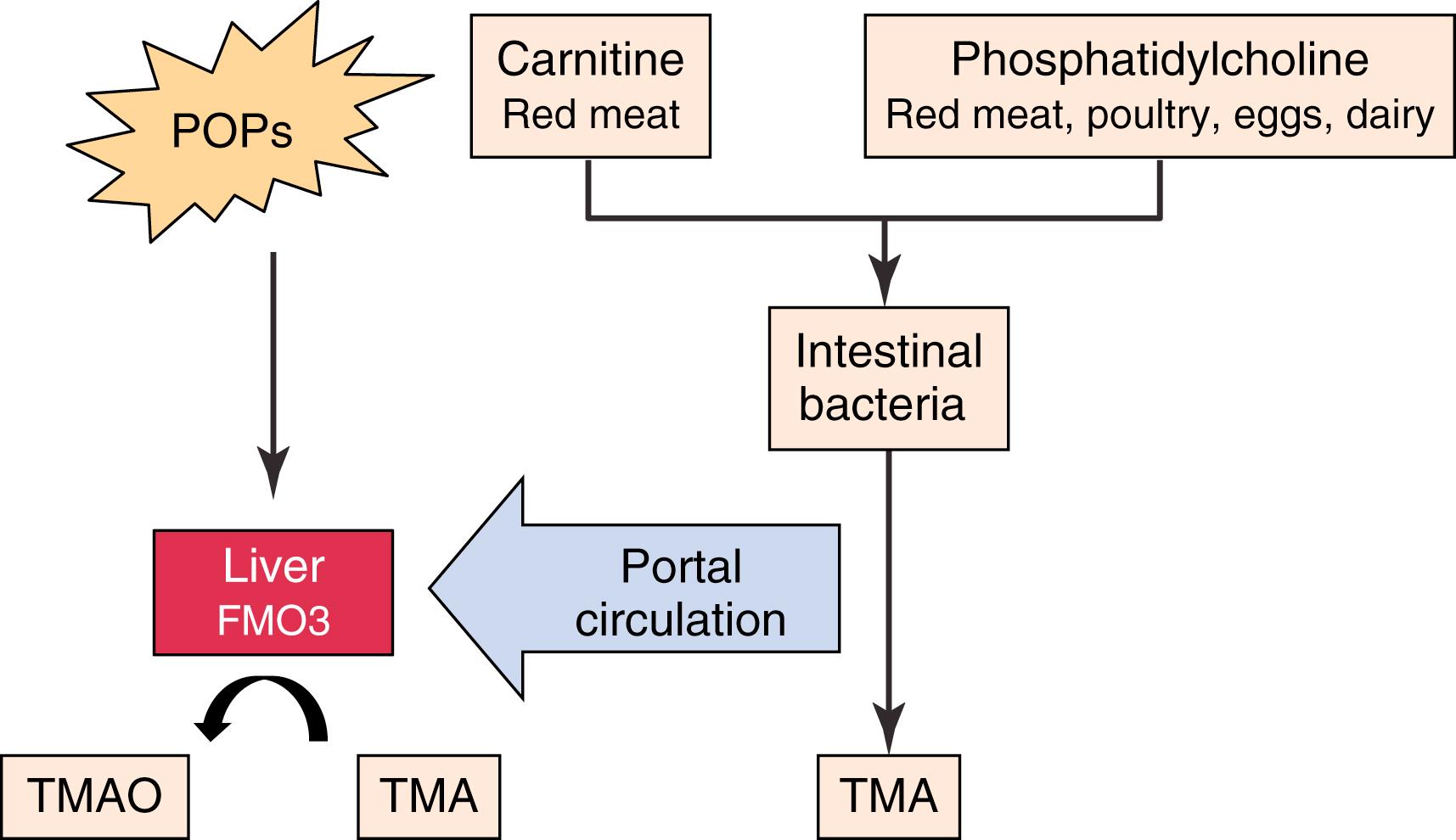 Figure 16.1, Interaction Between Diet and Environment.