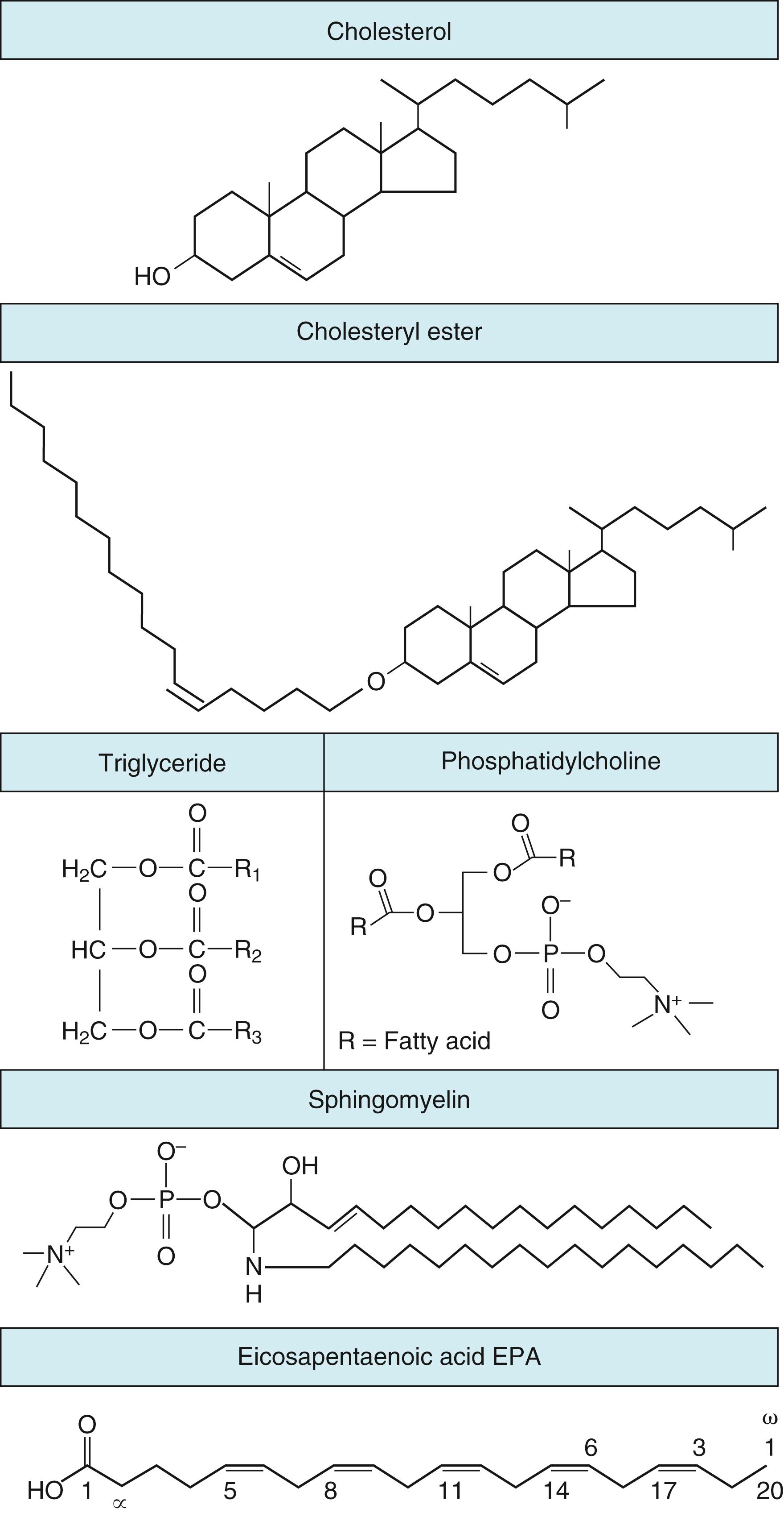 FIGURE 27.1, Biochemical structure of the major lipid molecules: cholesterol, cholesteryl esters, glycerolipids (triglycerides), and glycerophospholipids (e.g., phosphatidylcholine) and sphingomyelin. Eicosapentaenoic acid (EPA) is an essential polyunsaturated fatty acid. R indicates a fatty acyl chain.