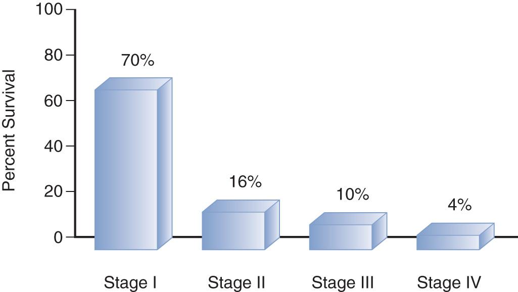 Figure 7.12, Stage distribution of squamous cell carcinoma of the lips. (Memorial Sloan Kettering Cancer Center data.)