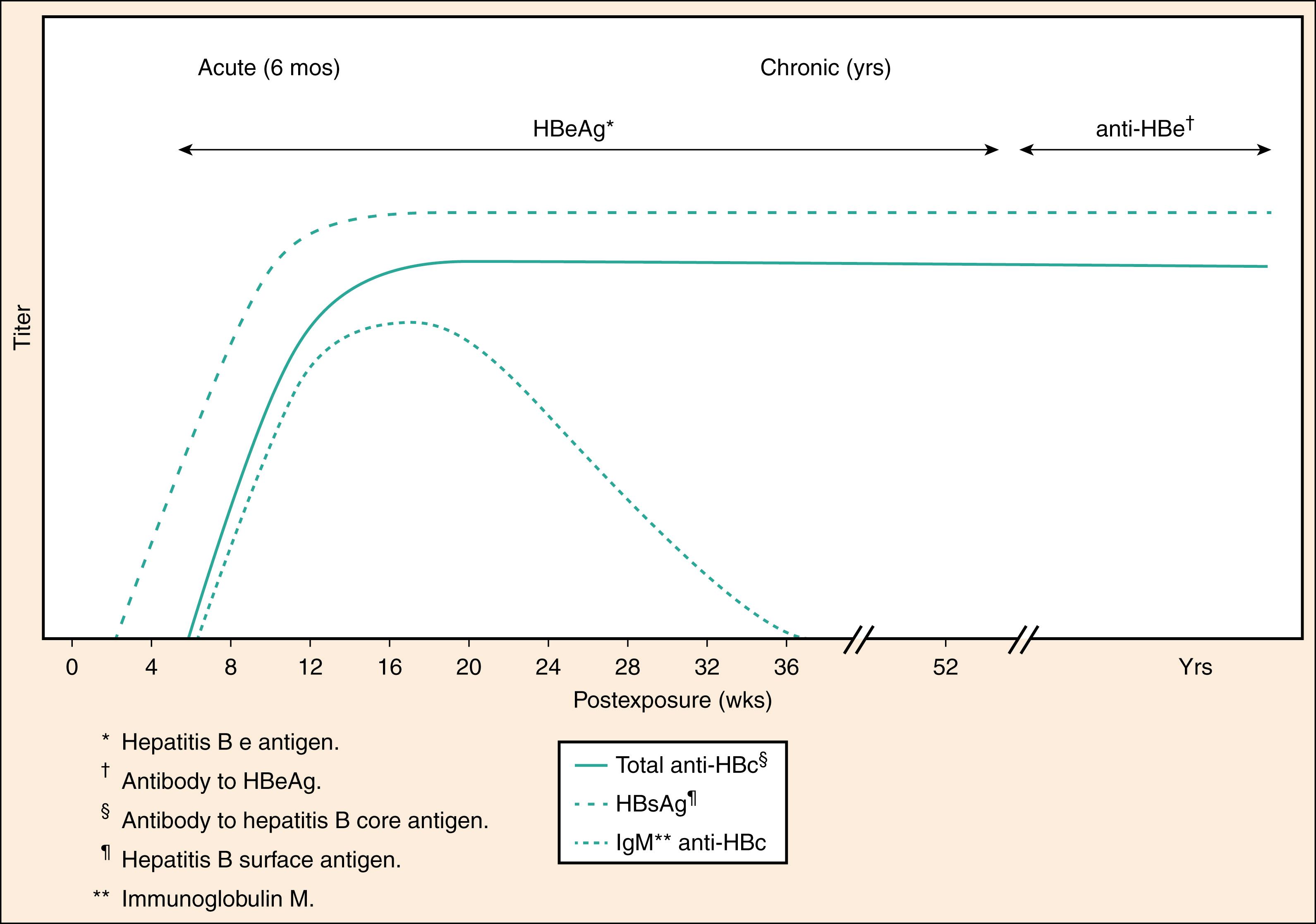 Fig 76.8, Serologic markers and symptom timing for hepatitis B.