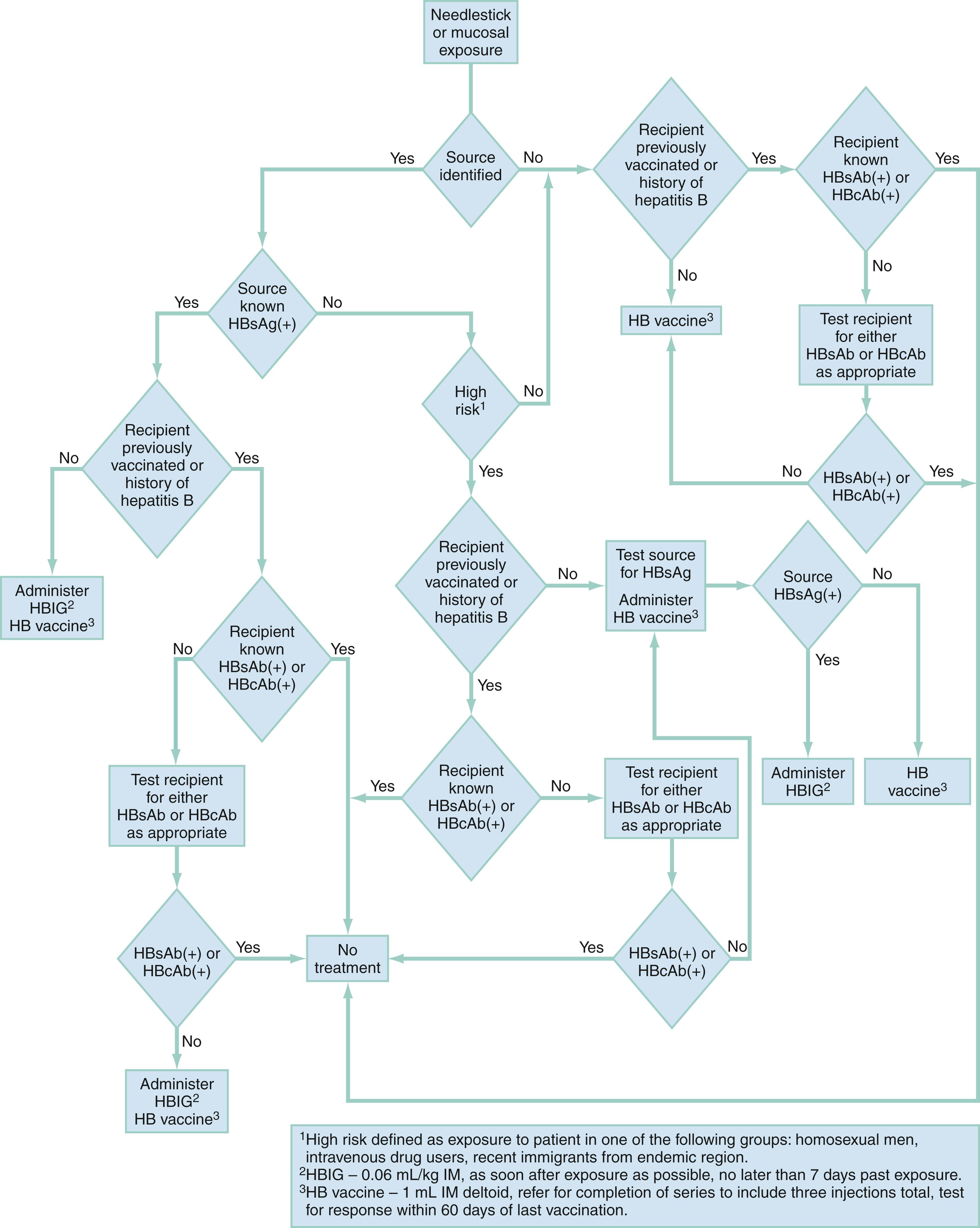 Fig. 76.9, Management of health care workers exposed to blood or other infectious secretions. HB, Hepatitis B; HBIG, HB immune globulin; HBcAb, hepatitis B core antibody; HBsAb, hepatitis B surface antibody; HBsAg, hepatitis B surface antigen; IM, intramuscularly.