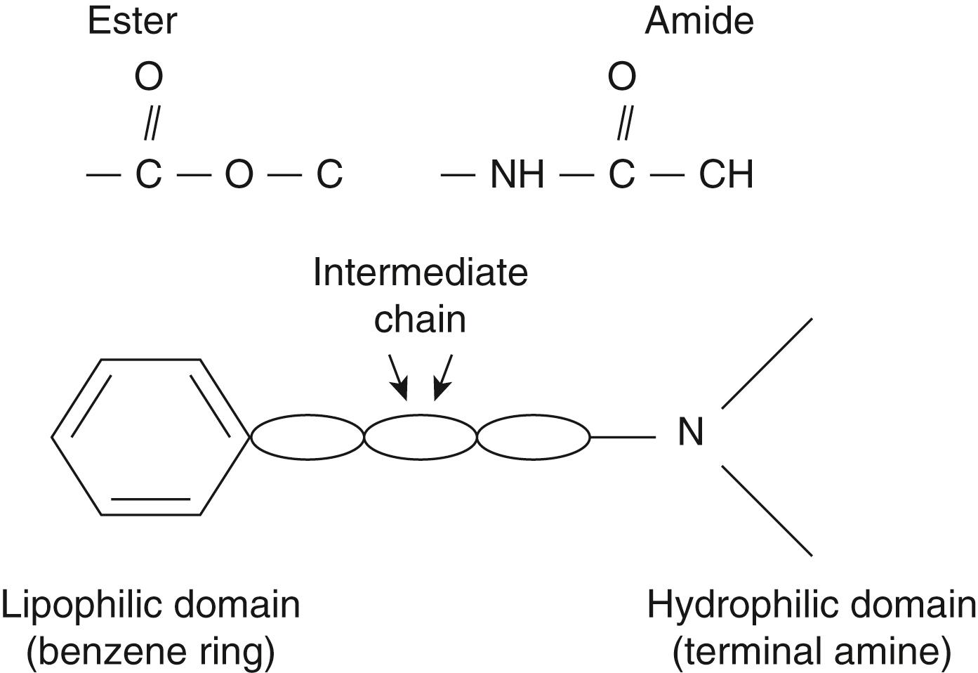 Fig. 4.1, Chemical structure of a local anesthetic.