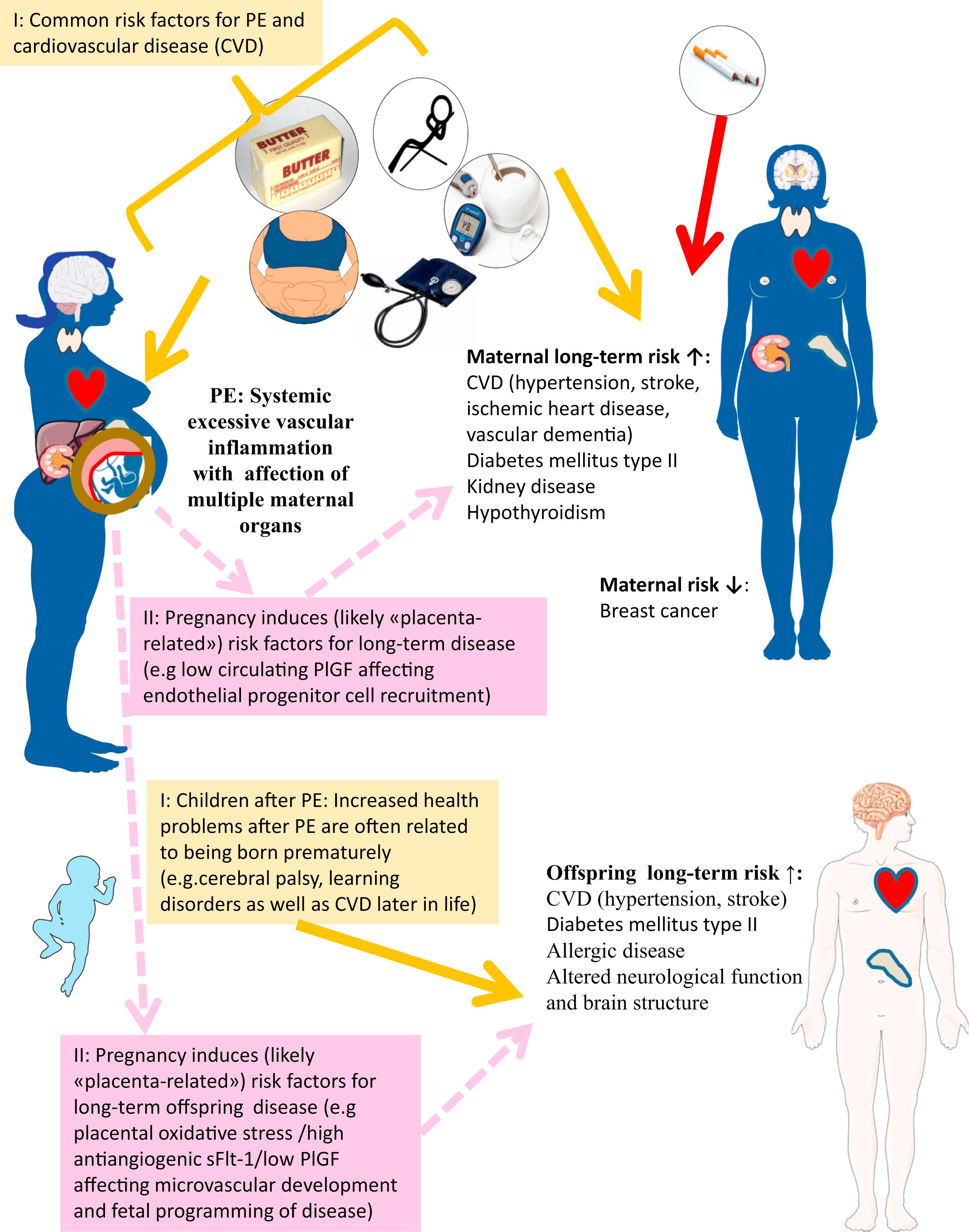 Figure 19.1, Long-term maternal and fetal health outcomes after preeclampsia (PE).