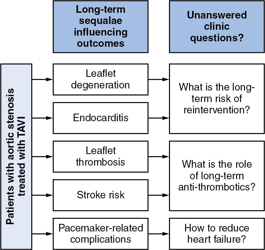 Fig. 16.1, Issues Concerning Long-Term Outcomes After TAVI.