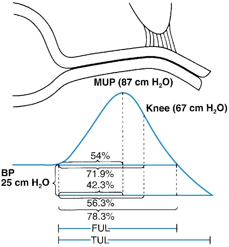 Fig. 21.5, Location of maximum urethral pressure in relation to the urogenital diaphragm (average value of 25 normal women). Knee indicates the location of the urogenital diaphragm seen on x-ray film and transformed to the pressure curve. BP, Blood pressure; FUL, functional urethral length; MUP, maximal urethral pressure; TUL, total urethral length.