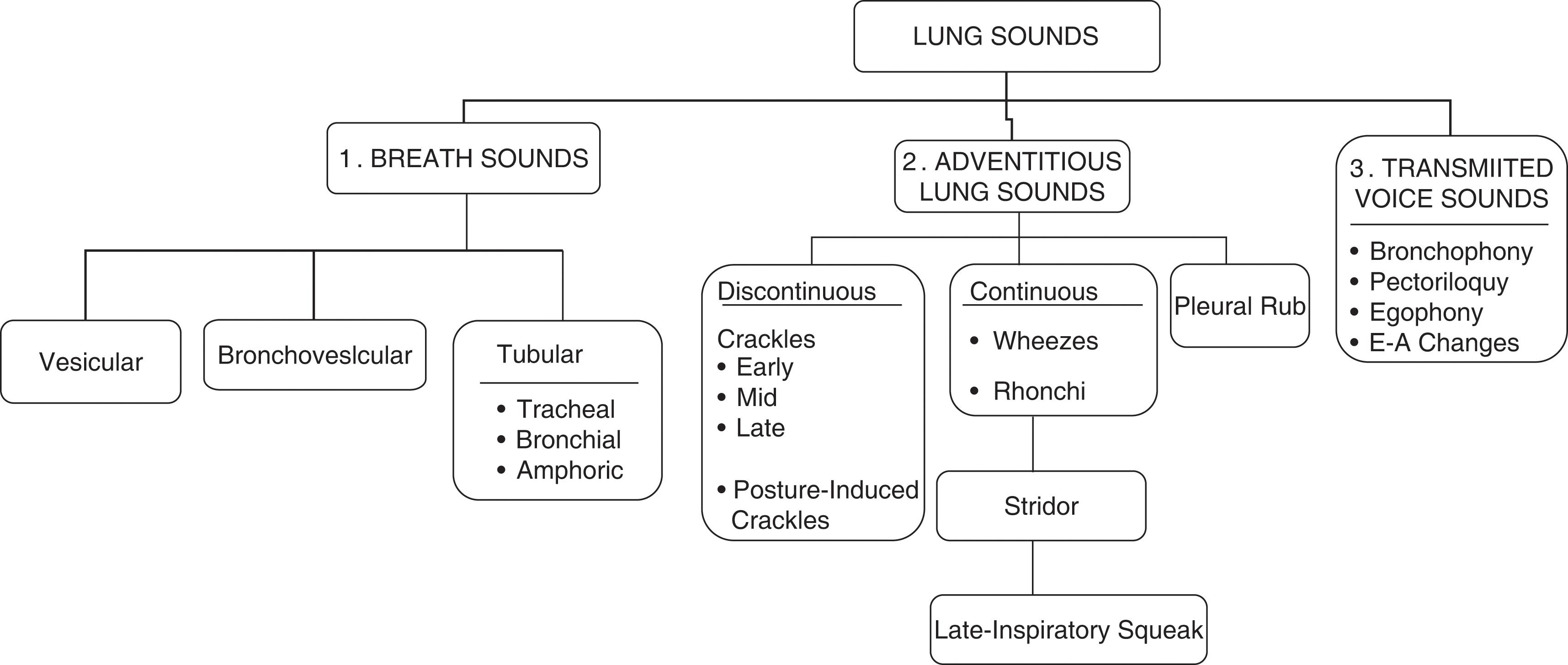 Fig. 12.1, The three categories of lung sounds: breath sounds, adventitious lung sounds, and transmitted voice sounds.