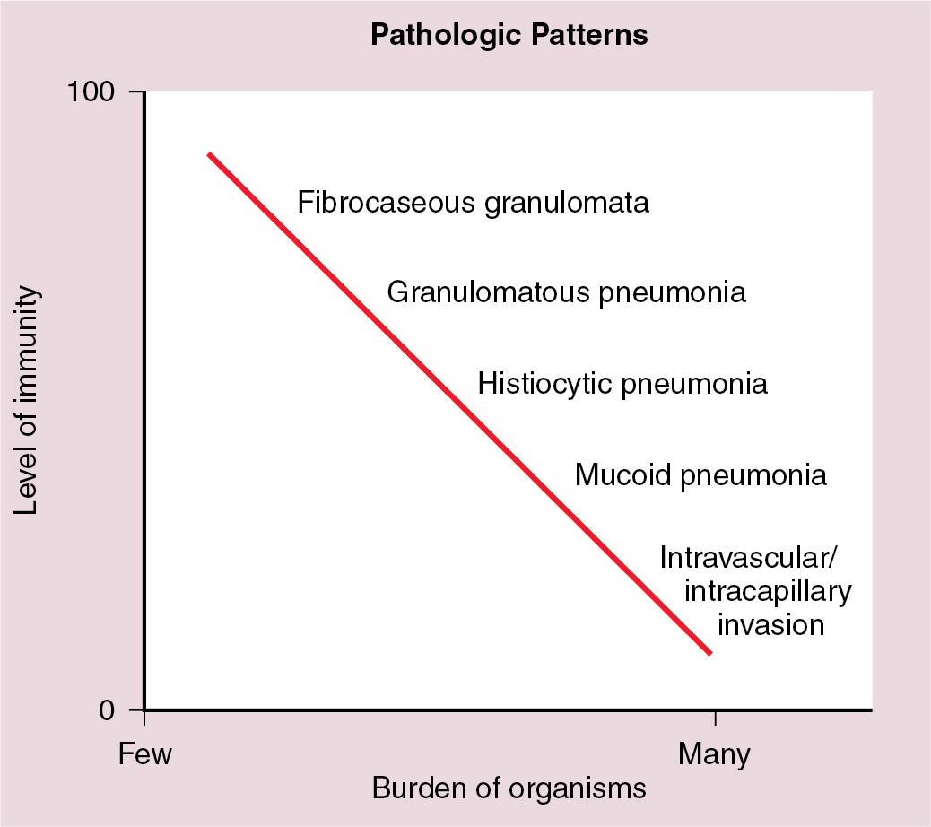 Figure 7.1, Cryptococcosis: Correlation of pathologic patterns with immunity level and organism burden. With cryptococcal pneumonia in patients with normal or near-normal immunity, granuloma formation with few organisms is characteristic. In immunocompromised patients, typical findings include histiocytic infiltrates or mucoid pneumonia with little or no inflammatory reaction and many organisms.