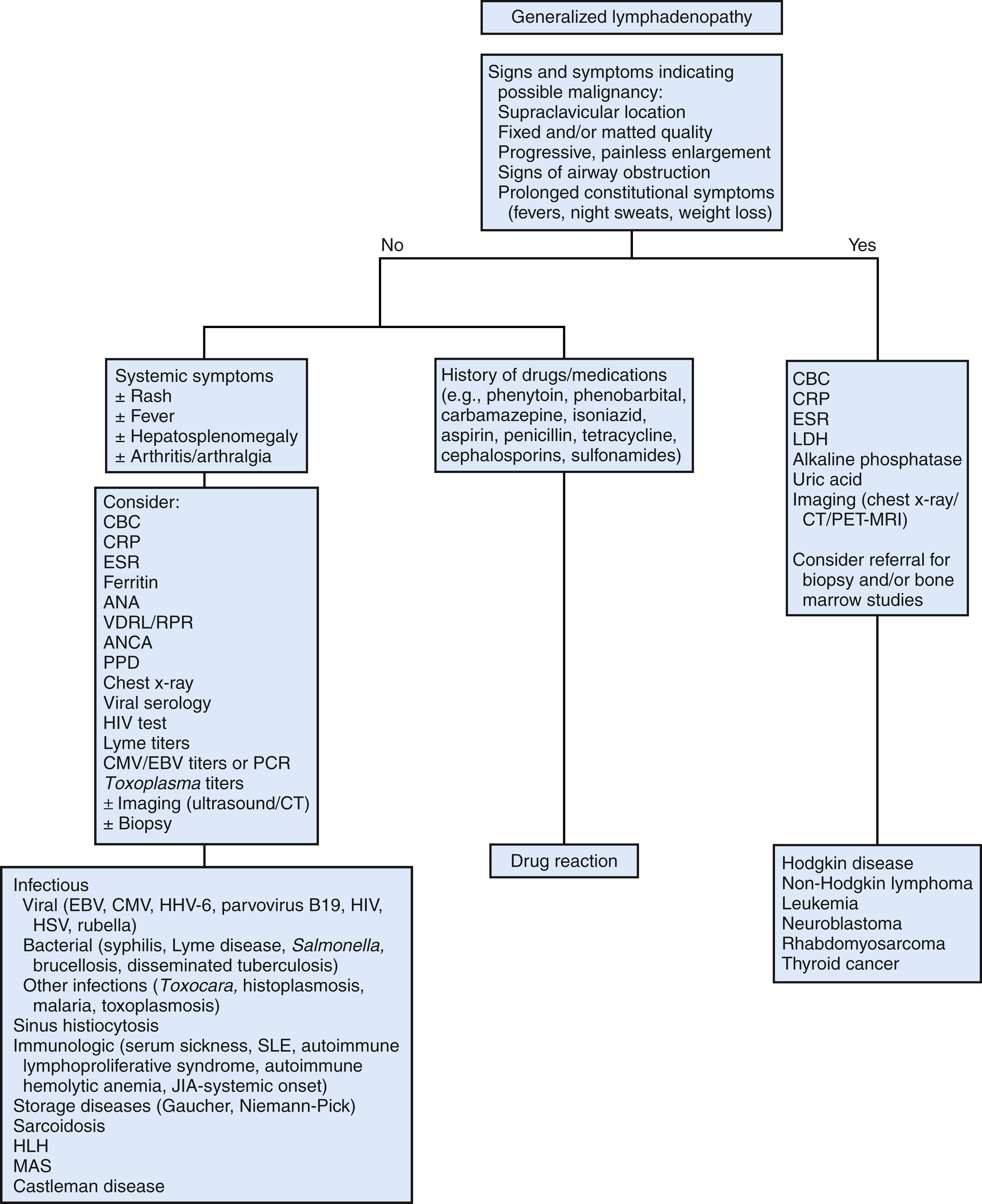 Fig. 48.4, Diagnostic algorithm for generalized lymphadenopathy. ANA, antinuclear antibody; ANCA, antineutrophil cytoplasmic antibody; CMV, cytomegalovirus; EBV, Epstein-Barr virus; HHV-6, human herpesvirus 6; HLH, hemophagocytic lymphohistiocytosis; HSV, herpes simplex virus; JIA, juvenile rheumatoid arthritis; LDH, lactate dehydrogenase; MAS, macrophage activation syndrome; PCR, polymerase chain reaction; PET, position emission tomography; PPD, purified protein derivative (tuberculosis skin test); RPR, rapid plasma reagin; SLE, systemic lupus erythematosus; VDRL, Venereal Disease Research Laboratory.