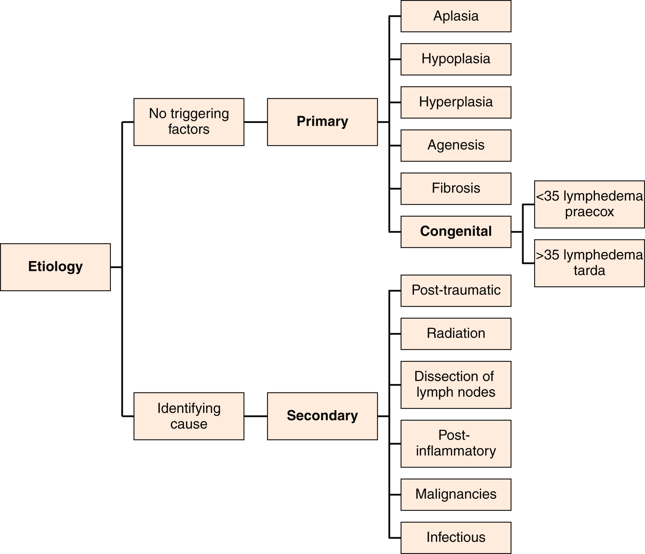 Figure 168.2, Lymphedema Etiology.