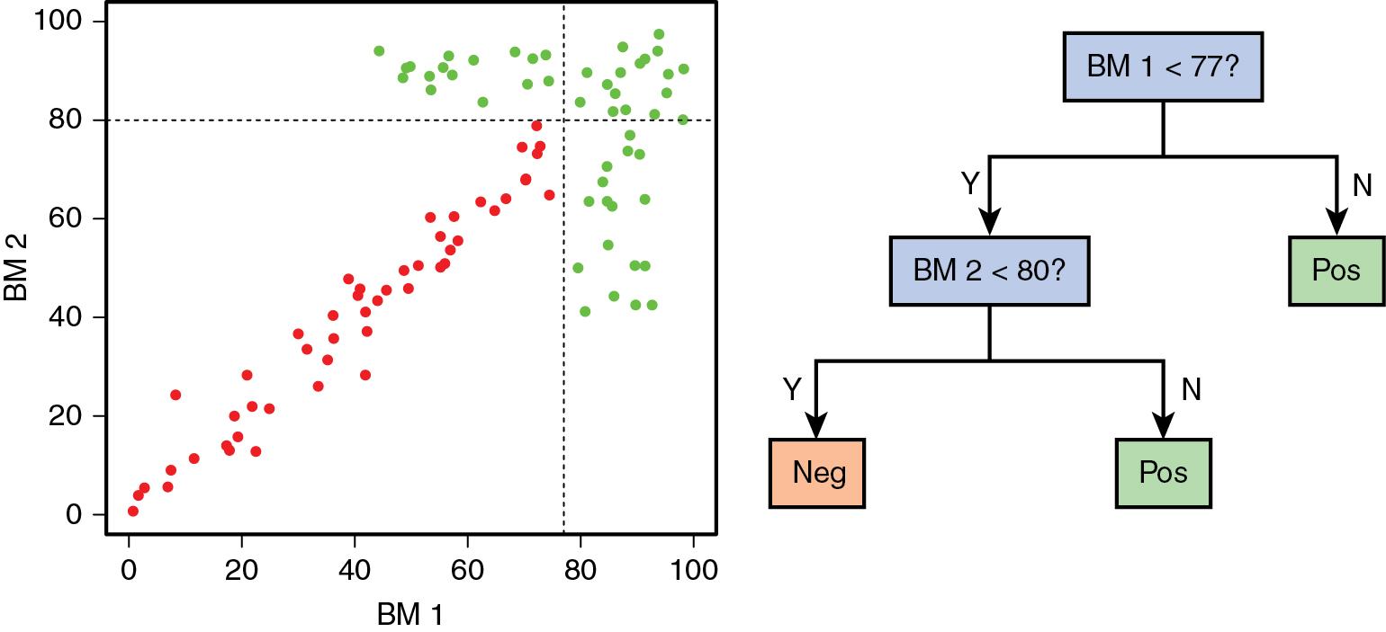 FIGURE 13.2, A composite biomarker in two dimensions that fully separates disease ( green ) from no disease ( red ). A decision tree that classifies cases based on biomarker 1 and 2 is shown.