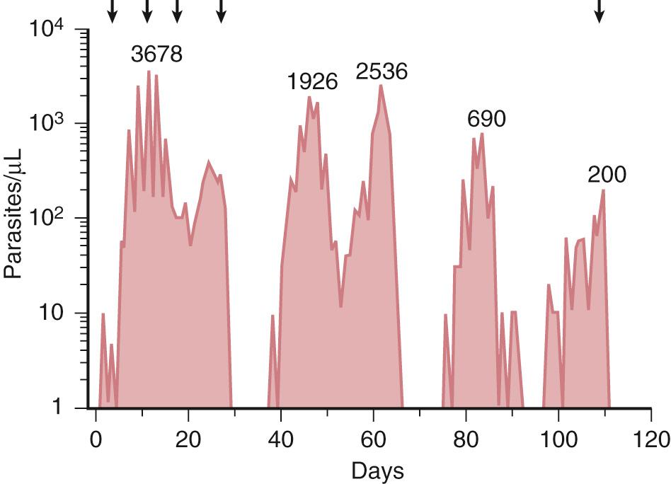 FIG. 274.5, Premunition and antigenic variation.