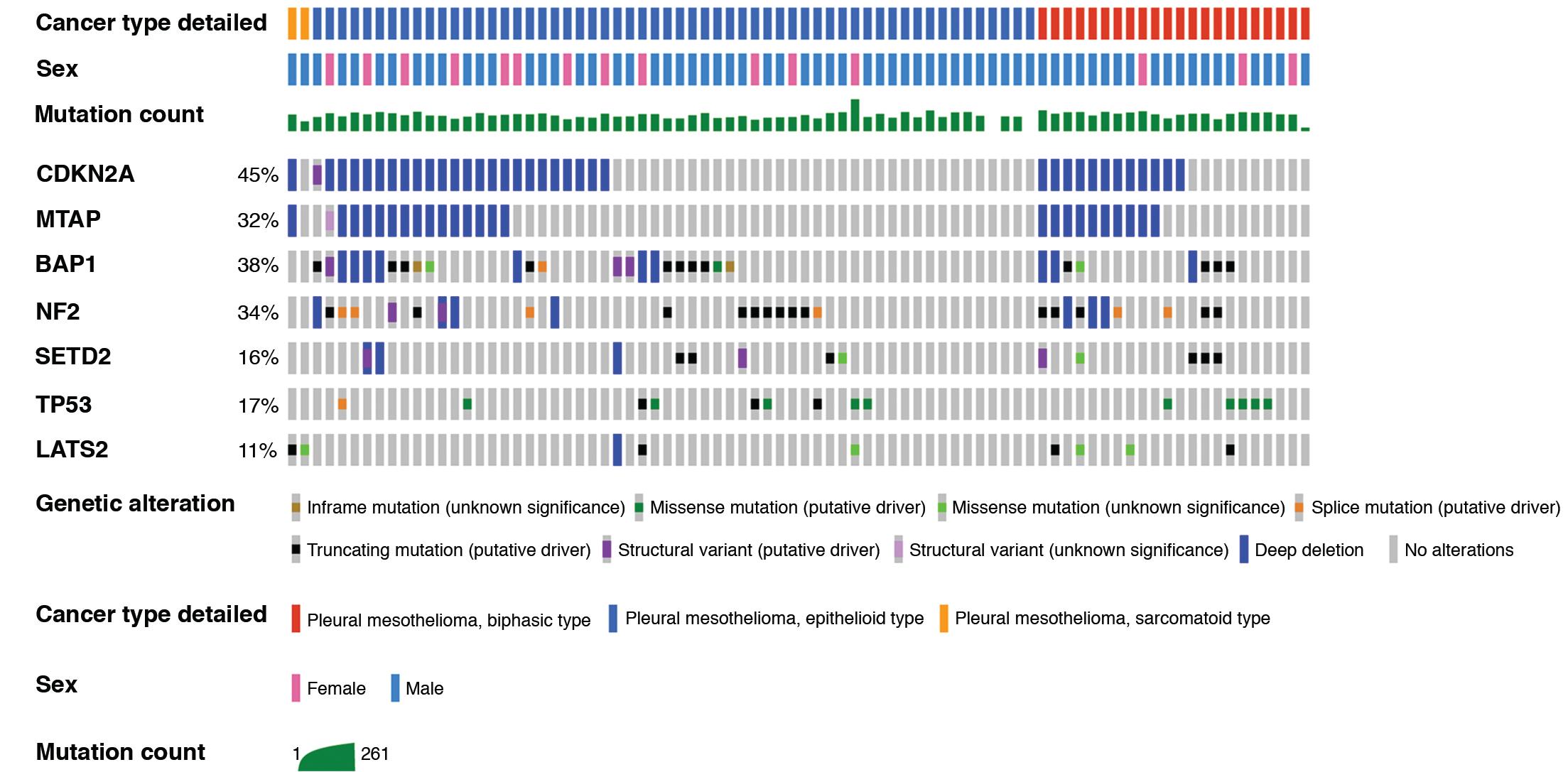 Figure 21.6, An OncoPrint showing the commonly affected genes in mesothelioma using next generation sequencing.