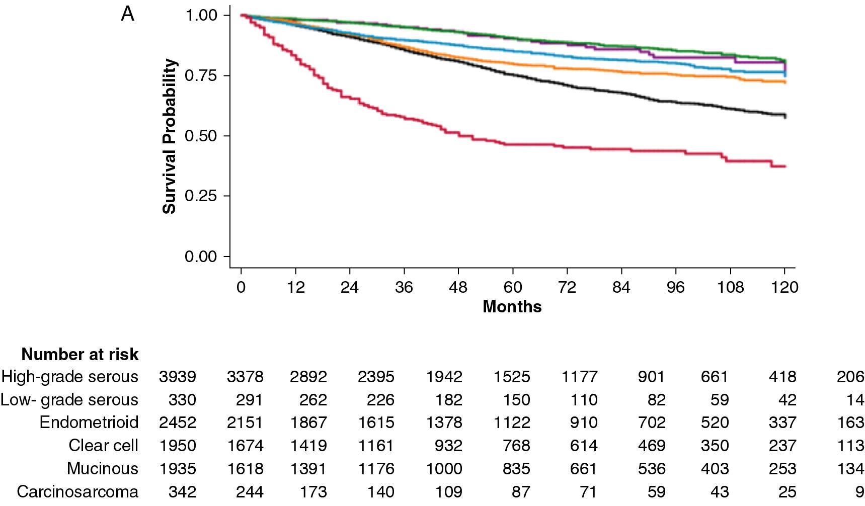 Fig. 33.9, Epithelial ovarian cancer survival by stage and histotype. A, Local and regional-stage disease. B, Distant-stage disease.