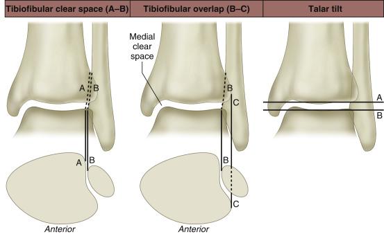 FIG. 73.1