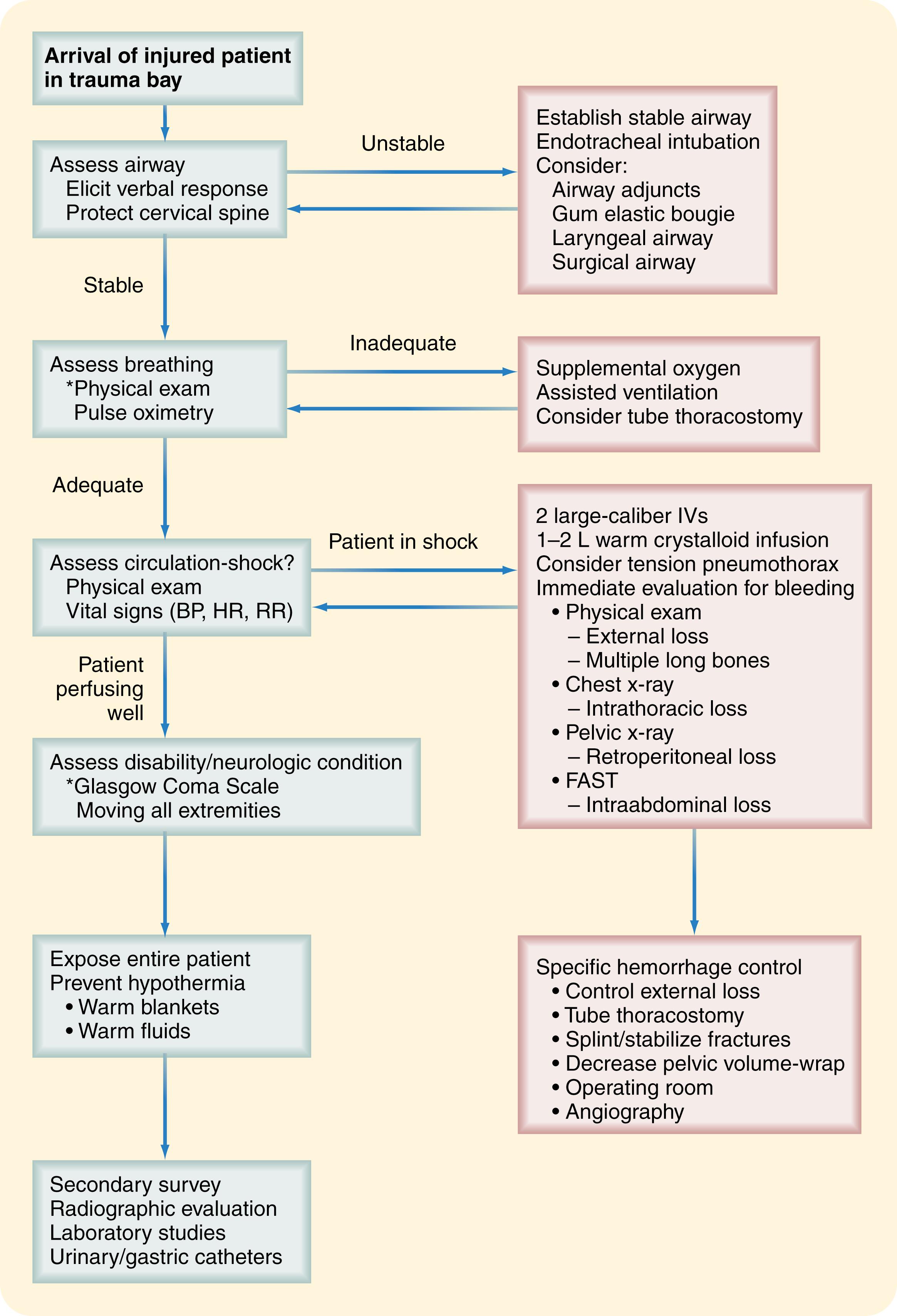 Fig. 17.4, Algorithm for the initial assessment of the injured patient. BP , Blood pressure; FAST , focused abdominal sonography in trauma; HR , heart rate; RR , respiratory rate.