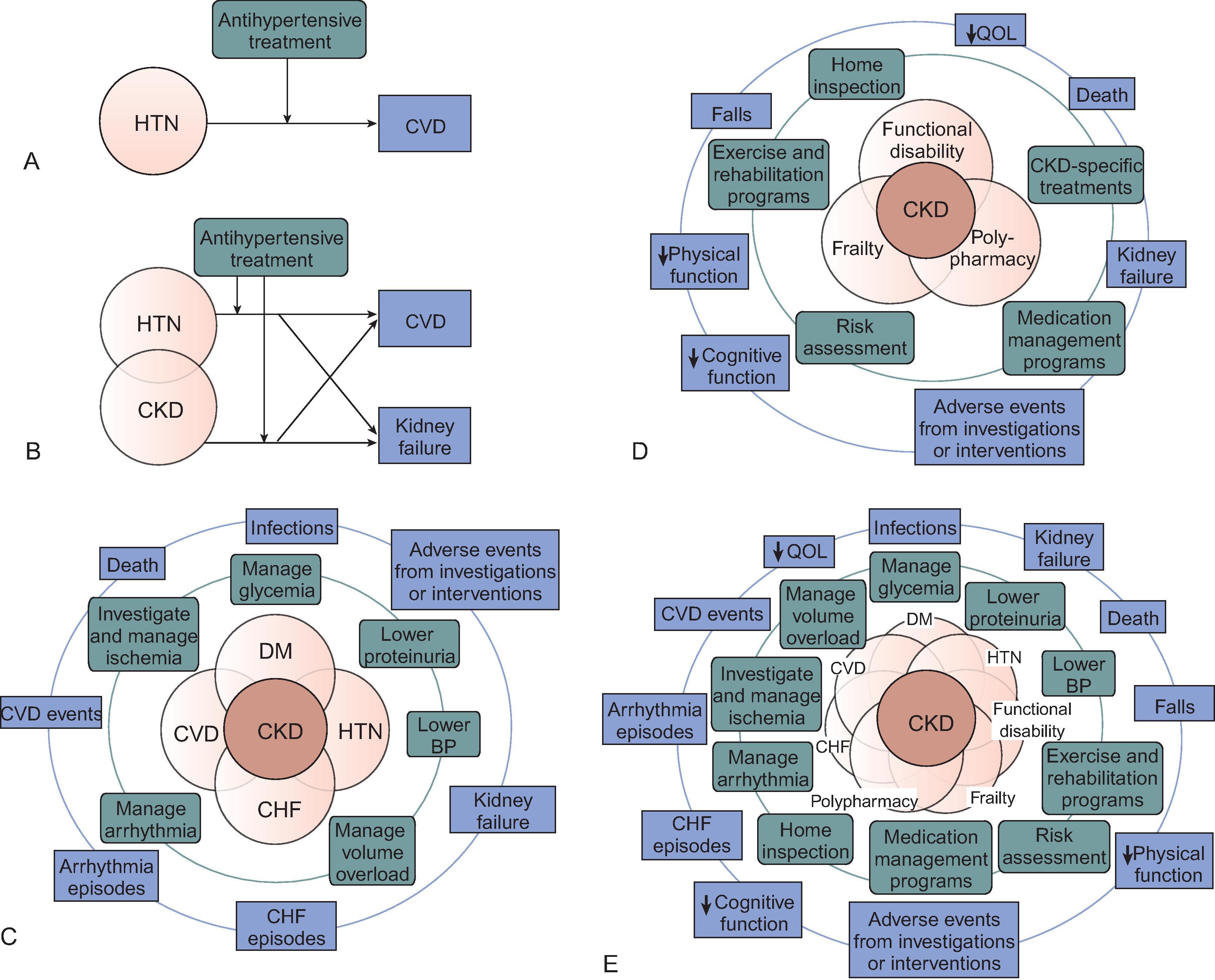 Fig. 48.4, Disease models increase in complexity with increasing numbers of disease conditions, treatments, and outcomes considered, such as in patients with chronic kidney disease (CKD) or of older age. Circles indicate diseases, rectangles outcomes, and rounded rectangles treatments. Disease models show treatment of (A) hypertension (HTN) without CKD; (B) HTN in patients with CKD; (C) CKD and a cluster of additional common comorbid conditions; (D) CKD along with a cluster of geriatric syndromes; and (E) CKD in older patients, incorporating clusters of common comorbid conditions, as well as geriatric syndromes (the overlap of C and D). BP , Blood pressure; CHF , congestive heart failure; CVD , cardiovascular disease; DM , diabetes mellitus; QOL , quality of life. (From Uhlig K, Boyd C. Guidelines for the older adult with CKD. Am J Kidney Dis . 2011;58:162–165.)