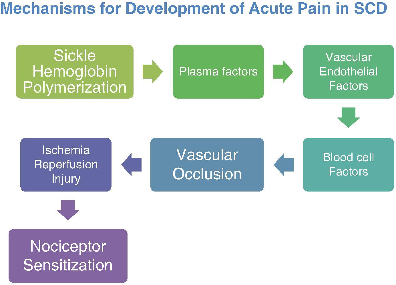 • Figure 77.1, Mechanisms for the development of acute pain in sickle cell disease.