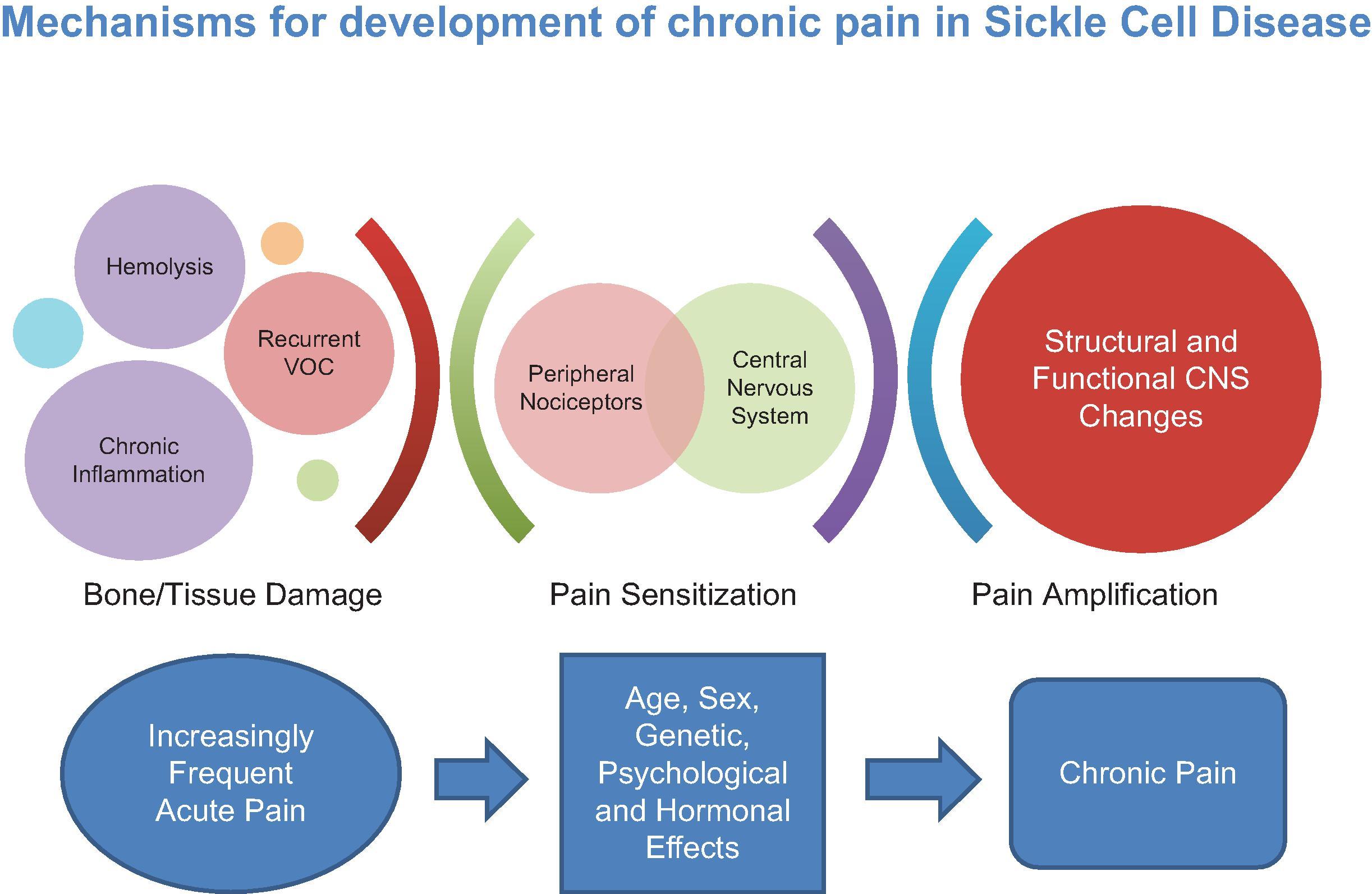 • Figure 77.2, Mechanisms for the development of chronic pain in SCD. CNS, Central nervous system; SCD, sickle cell disease; VOC, vaso-occlusive crisis.