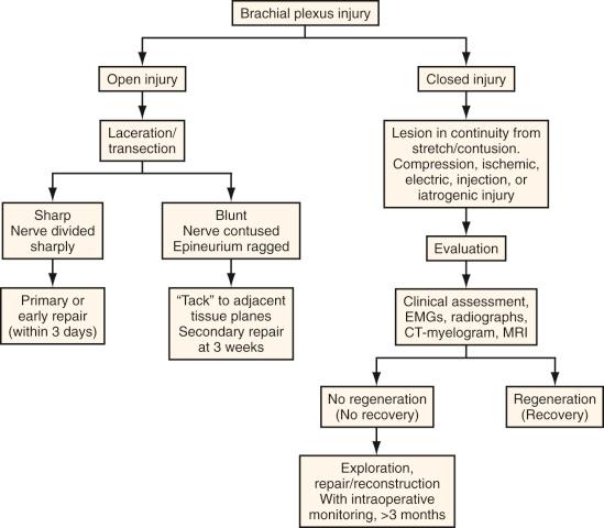 Figure 61.4, Algorithm for surgical management of peripheral nerve and brachial plexus injuries.