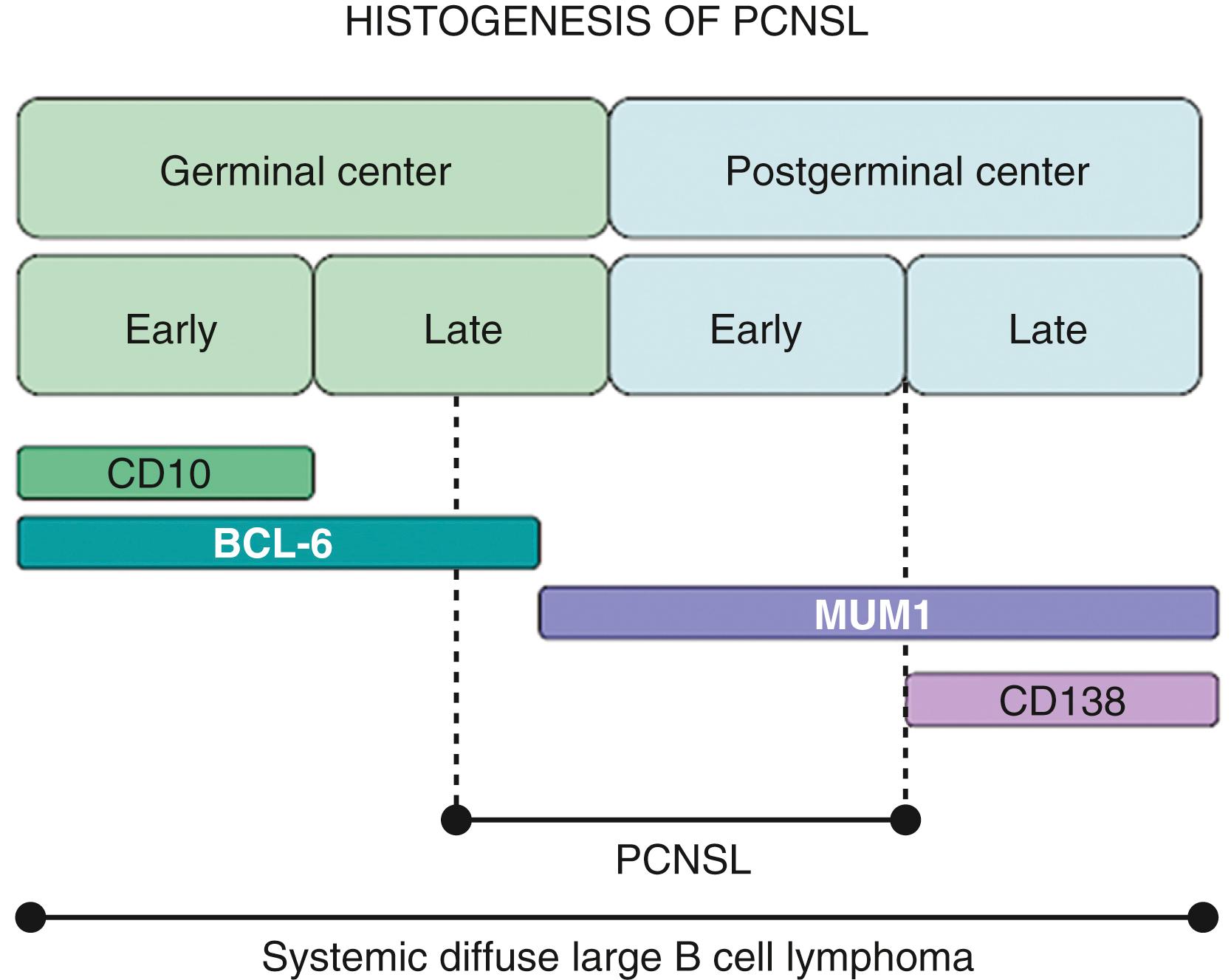 FIGURE 9.1, A model for the histogenesis of primary central nervous system lymphoma (PCNSL) based on the developmental stage of B-cell arrest as indicated by antigen expression.