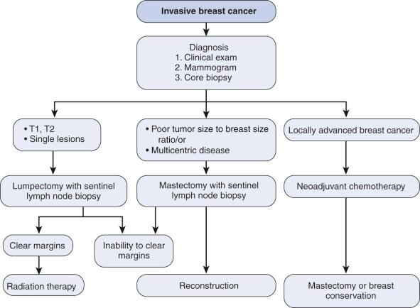 F igure 48-1-1, Algorithm for treatment of invasive breast disease.