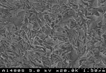 Fig. 5.1, SEM micrograph (magnification, × 20,000) of etched virgin ultra-high-molecular-weight polyethylene (UHMWPE; GUR 1050, Ticona, Bayport, TX, ram-extruded rod) showing crystalline lamellae.