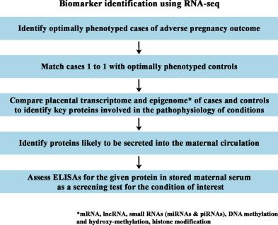 Fig. 1, Current model for biomarker identification based on placental RNA-seq analysis. ELISA: enzyme-linked immunosorbent assay.