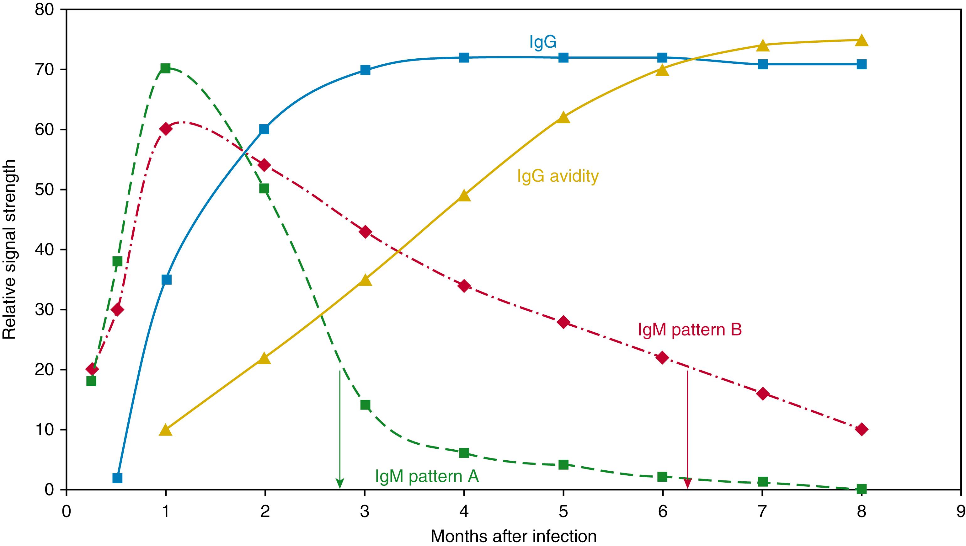 Figure 51.2, IgM, IgG, and IgG avidity with primary infection.