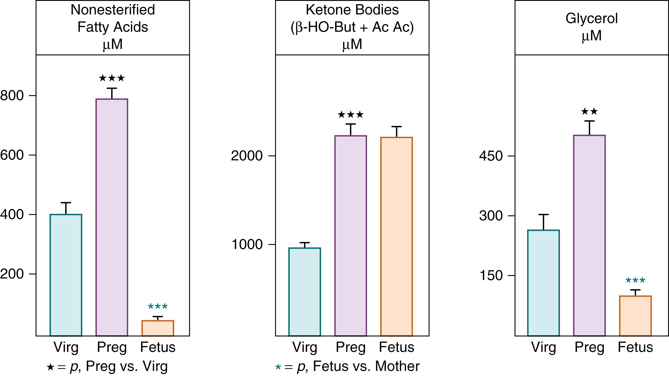 Fig. 31.5, Concentrations of nonesterified fatty acids, ketone bodies, and glycerol in plasma of 48-hour starved virgin (Virg) and 19-day pregnant (Preg) rats and their fetuses. AcAc, Acetoacetate; β-HO-But, β-hydroxybutyrate.