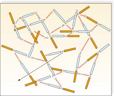 Figure 7.4, Diagrammatic representation of the probable molecular orientation of detergent sclerosing solutions into aggregates.