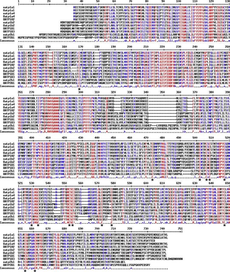 Fig. 42.1, Multiple sequence alignment of the oatps which are present in liver from rat, mouse, and humans was performed 63 and revealed that there are 15 cysteine residues in common that are highly conserved over the entire oatp family, as indicated by the asterisks. Many other regions of high homology are also seen in this figure. A functional role for these regions have not as yet been elucidated. Accession numbers for the sequences in this figure are as follow: (1) oatp1a1—NM_017111; (2) Oatp1a1—NM_013797; (3) oatp1a4—NM_131906; (4) Oatp1a4—NM_030687; (5) OATP1A2—NM_021094; (6) oatp1b2—NM_031650; (7) Oatp1b2—NM_020495; (8) OATP1B1—NM_006446; (9) OATP1B3—NM_019844; (10) oatp2b1—NM_080786; (11) OATP2B1—NM_007256.