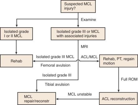 Fig. 101.4, Algorithm for treatment of medial collateral ligament (MCL) injuries. ACL, Anterior cruciate ligament; MRI, magnetic resonance imaging; PT, physical therapy; ROM, range of motion.