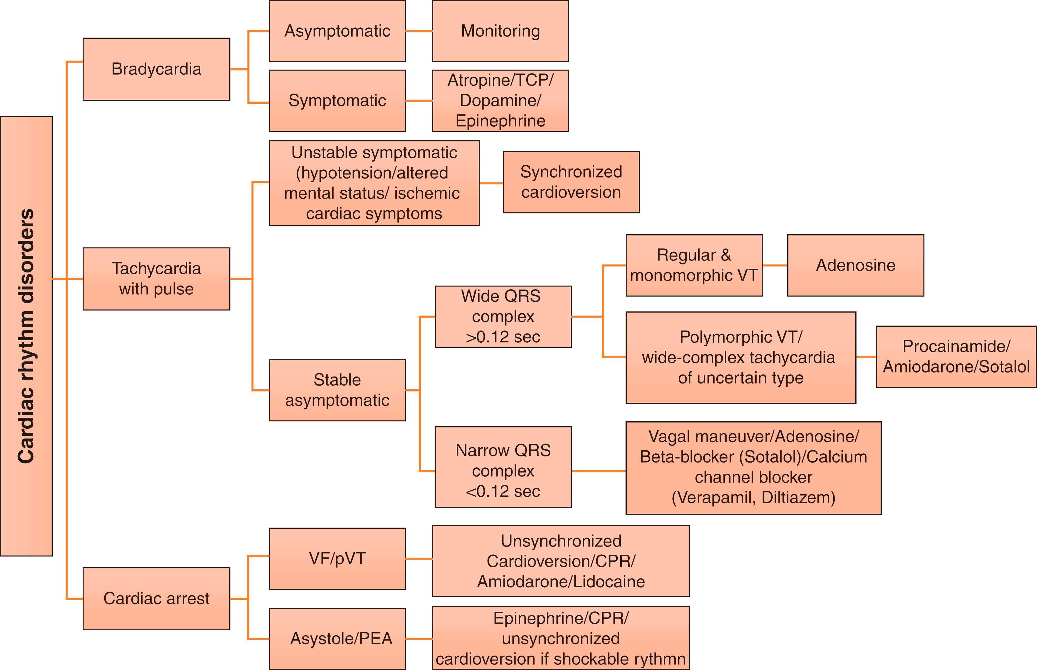 Algorithm: Management of cardiac rhythm disorders