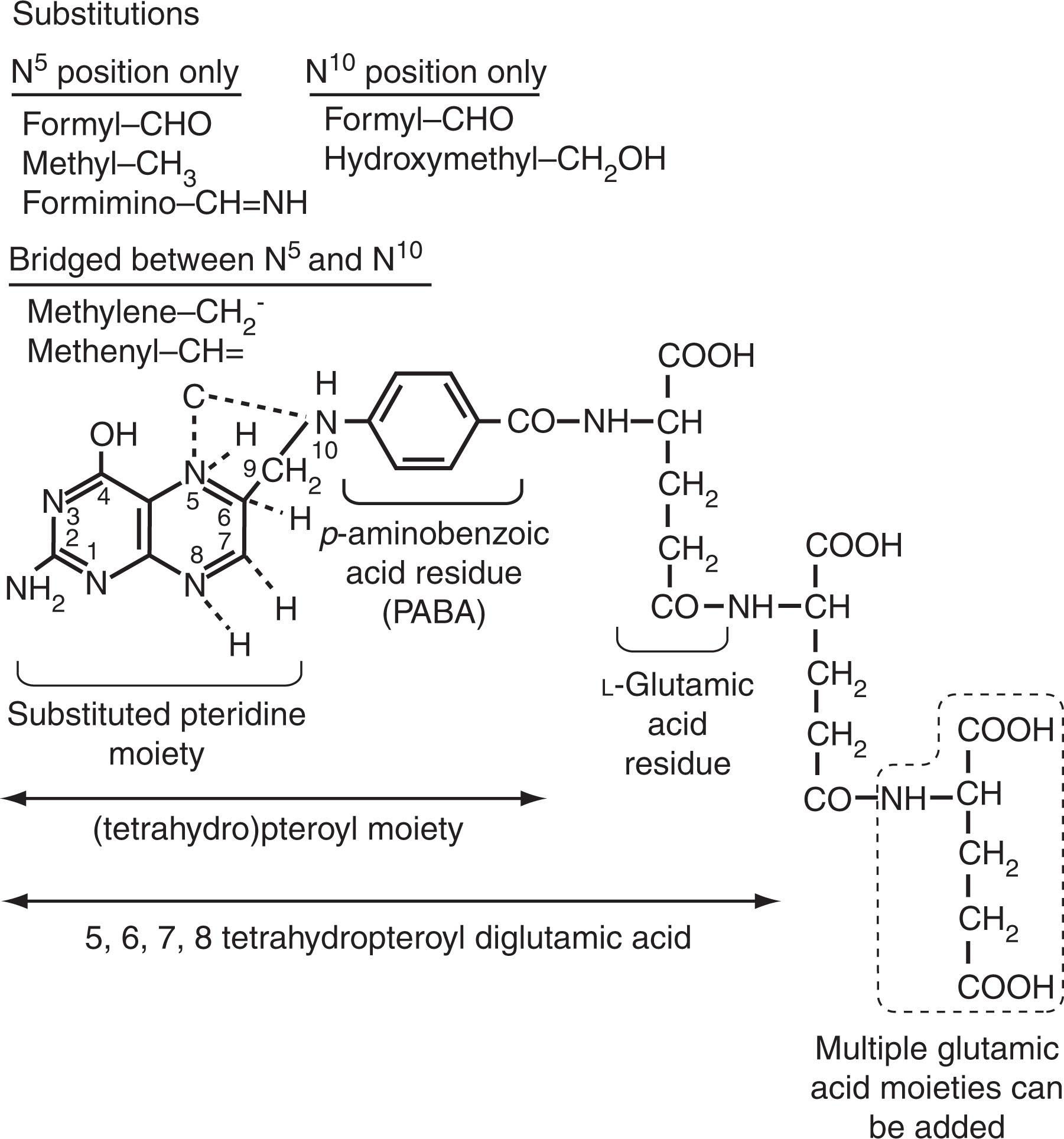 Figure 40.4, FOLATE CHEMISTRY AND NOMENCLATURE.