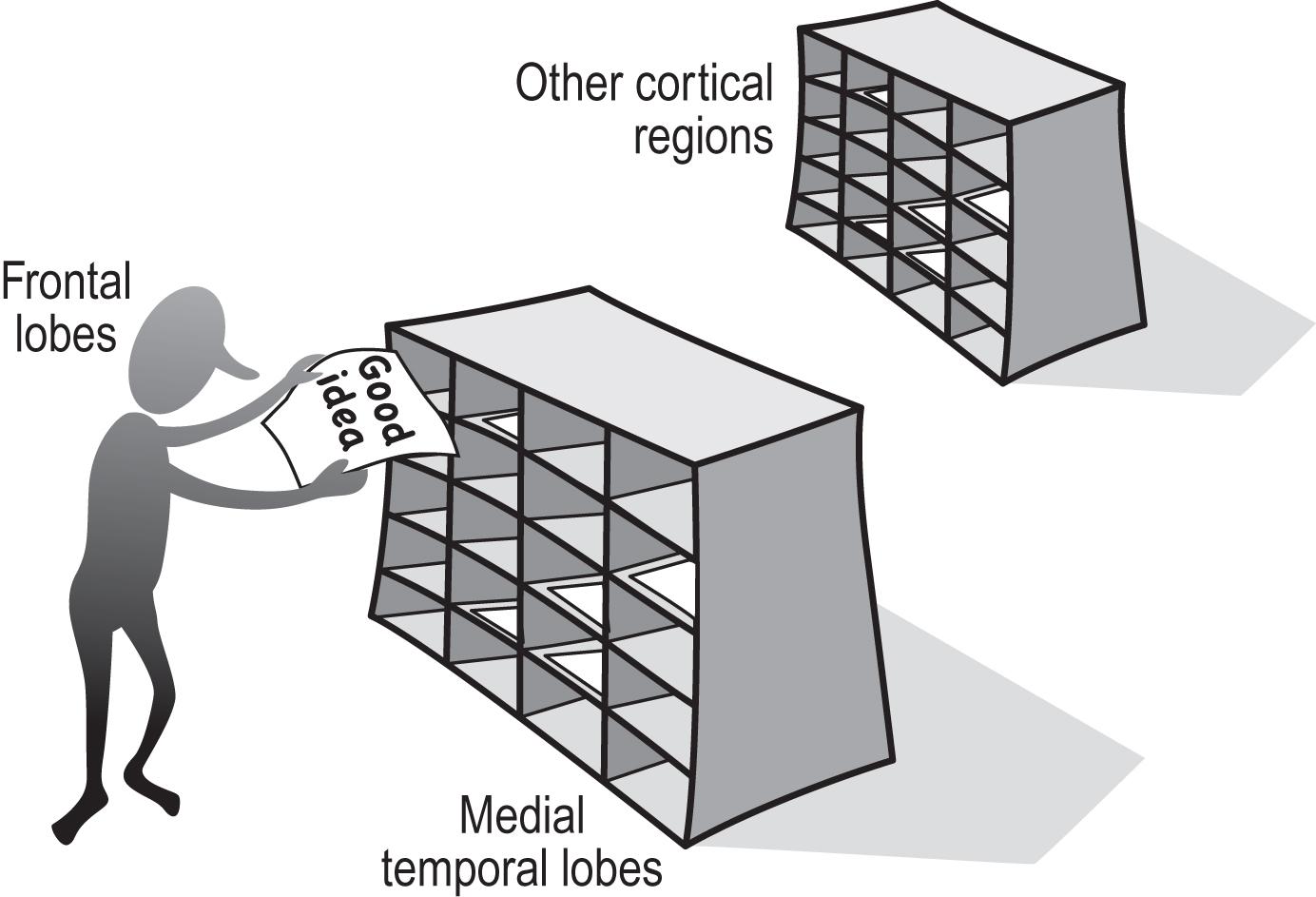 Fig. C2, A filing analogy of episodic memory. The frontal lobes are the “file clerk” of the episodic memory system. The medial temporal lobes are the “recent memory file cabinet.” Other cortical regions are the “remote memory file cabinet.”