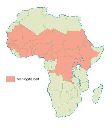 Figure 20-1, The countries of the meningitis belt.