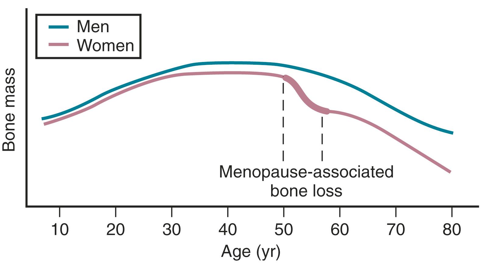 Fig. 14.23, Bone mass by age and sex.