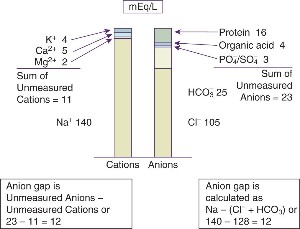 Fig. 15.1, Components of the serum anion gap.