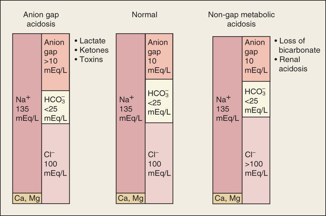 Fig. 15.2, Contributors to plasma anion gap in a normal physiologic state and in metabolic acidosis.