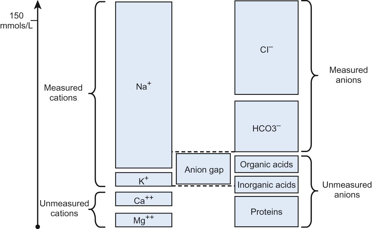 Fig. 29.1, Representation of the anion gap, an estimate of the osmolar difference between measured cations and anions.