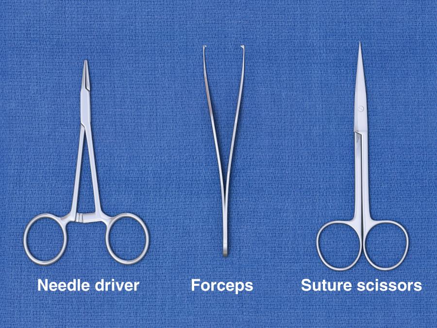 Figure 35.11, Basic suturing equipment includes a needle driver, forceps, and suture scissors.