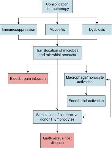 Fig. 10.3, Proposed pathogenesis of bloodstream infection and graft-versus-host disease after hematopoietic stem cell transplantation.