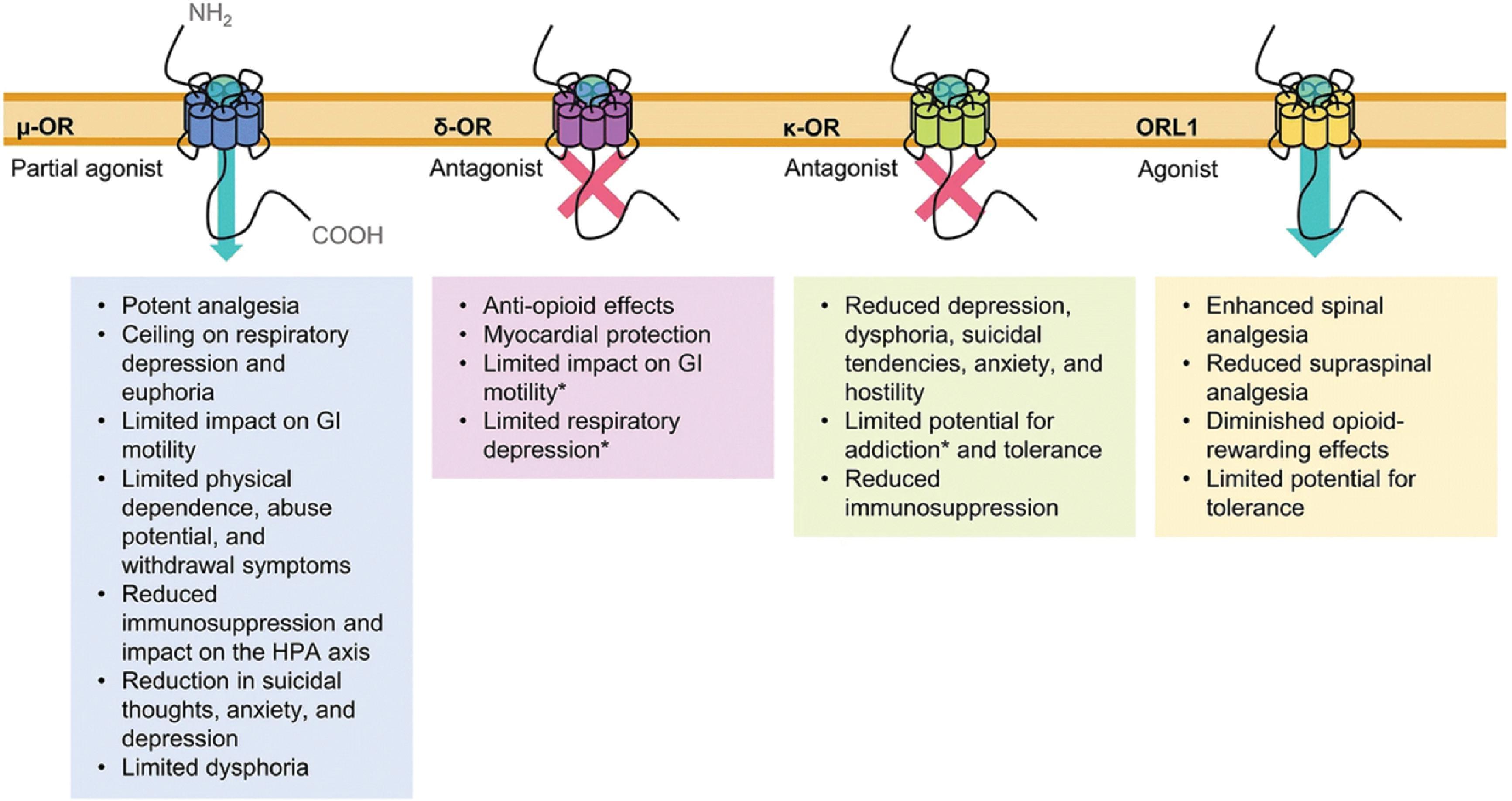 Figure 49.2, Pharmacodynamic properties of buprenorphine: multi-mechanistic regulation of opioid receptors (Gudin J, Fudin J. A narrative pharmacological review of buprenorphine: a unique opioid for the treatment of chronic pain. Pain Ther . 2020;9:41–54.)