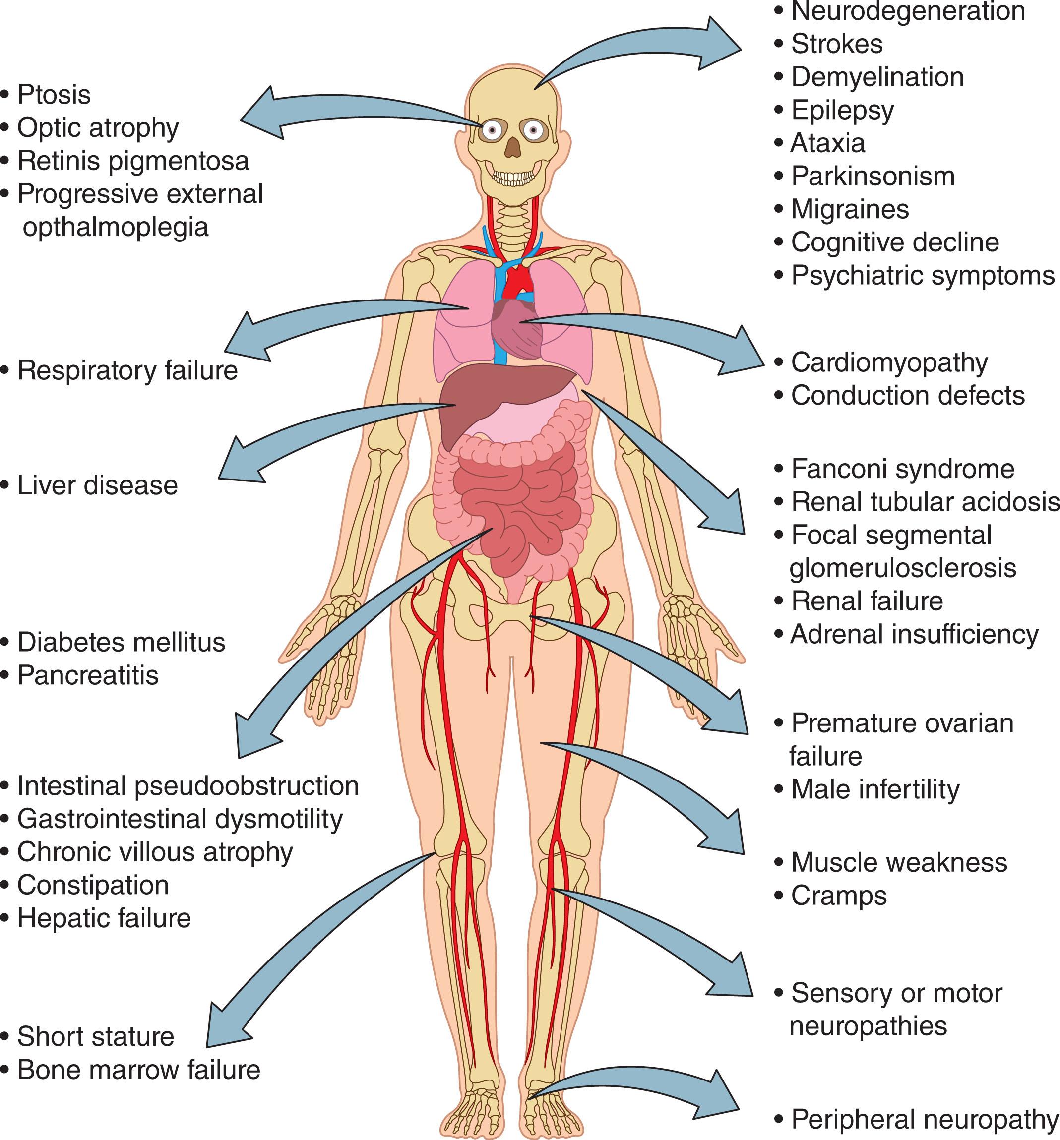Figure 10.2, CLINICAL FEATURES OF MITOCHONDRIAL DISEASES.