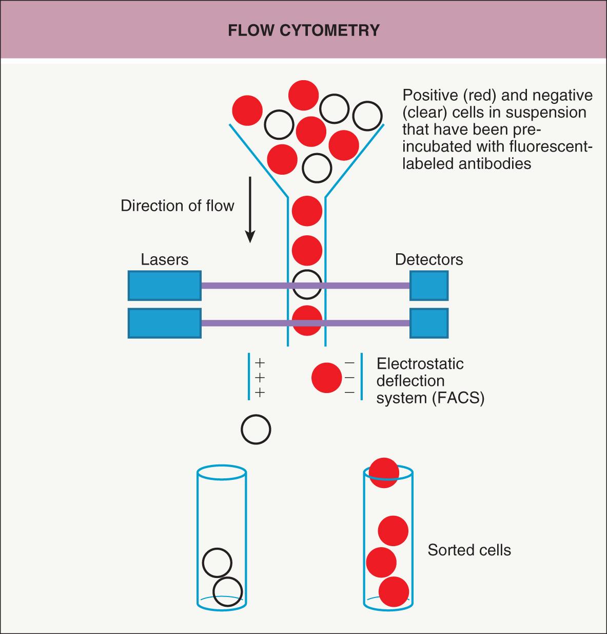 Fig. 3.3, Flow cytometry.