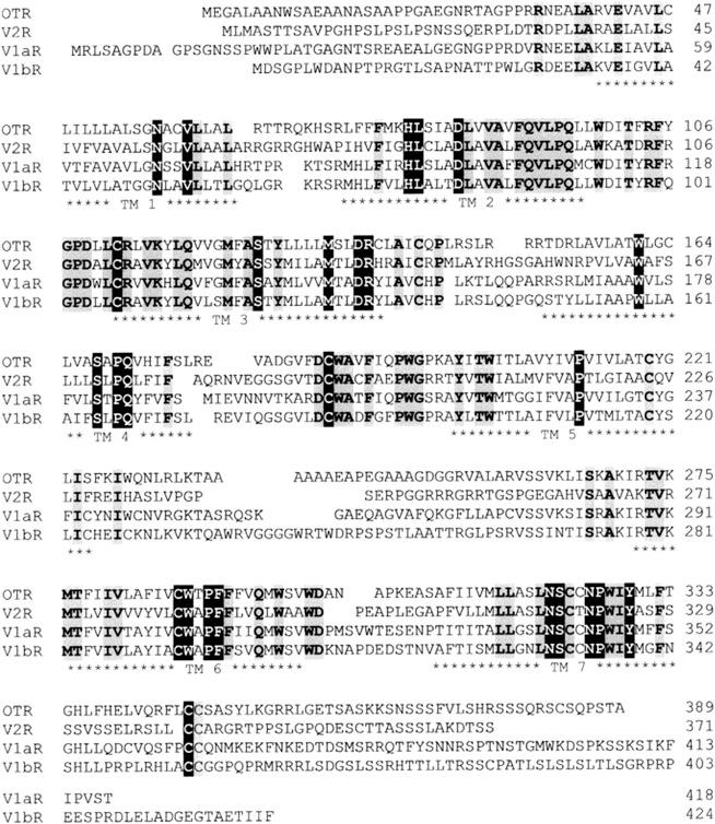 Figure 6.3, Primary sequence comparisons between human vasopressin/oxytocin receptors.