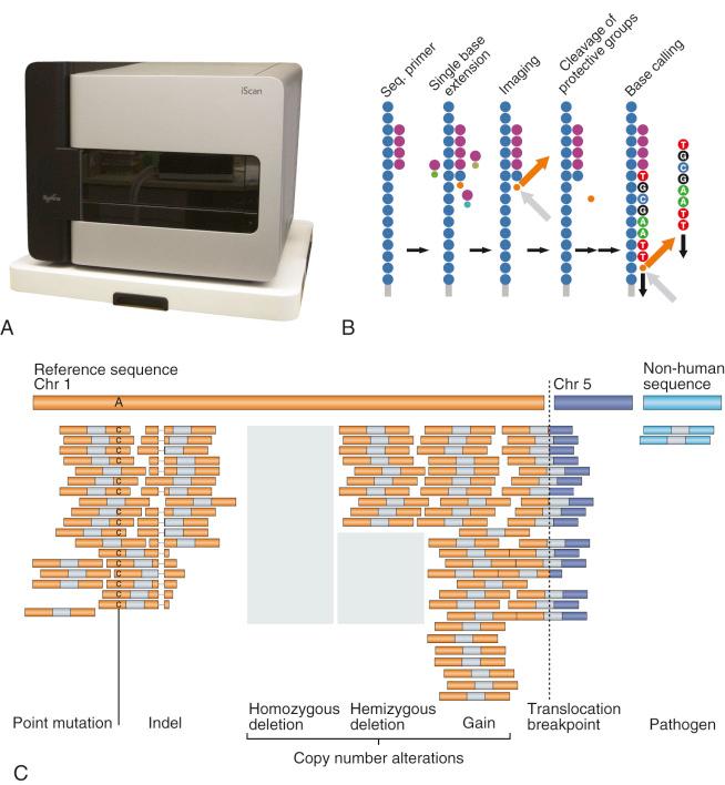FIGURE 3-4, Principles of DNA sequencing using next-generation technologies.
