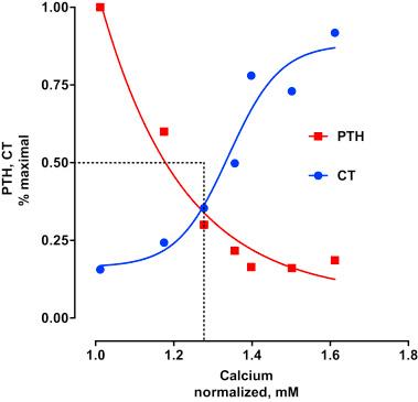 Figure 30.2, Relationship between parathyroid hormone (PTH) and calcitonin (CT) secretion and ionized calcium concentration. PTH and CT secretion are normalized to percent of maximum. The dashed line shows half-maximal secretion, which occurs at ∼1.2 mM Ca 2+ . This is referred to as the set point. PTH secretion increases to defend calcium homeostasis. Conversely, as calcium levels rise, PTH secretion is inhibited, while release of CT increases.