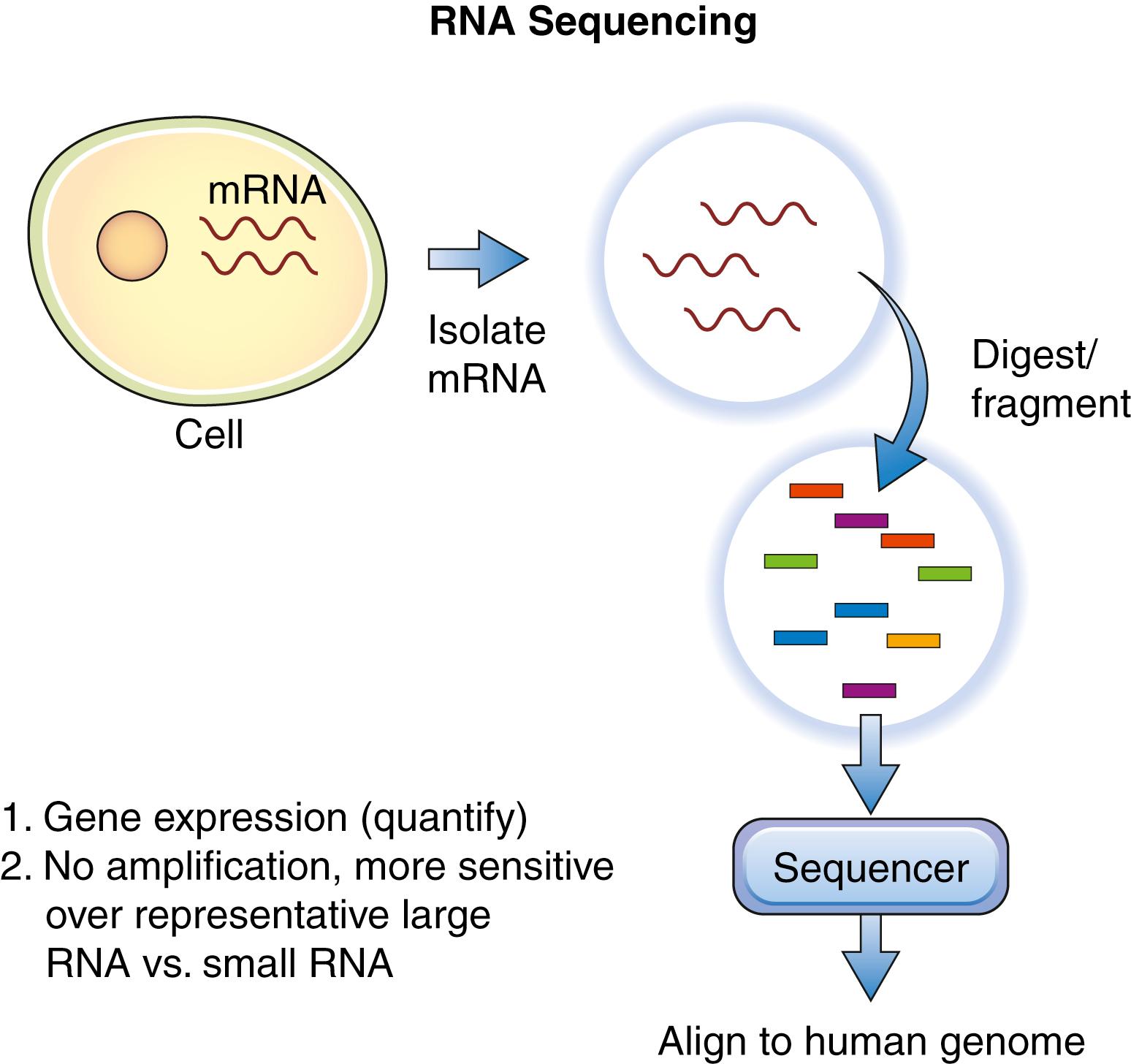 Figure 136.4, RNA sequencing (RNA-Seq).