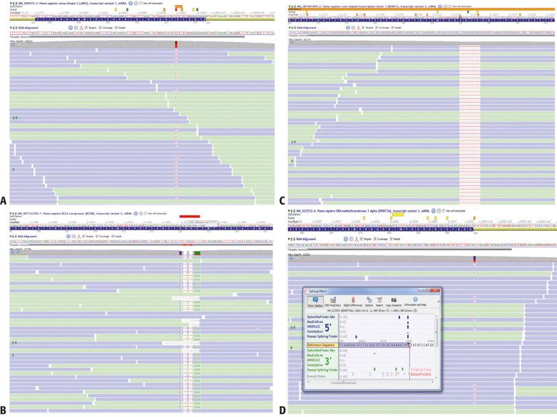 FIG. e24.2, Examples of DNA alterations detected by next-generation sequencing.